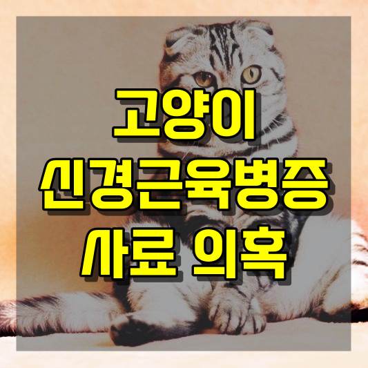 고양이 신경근육병증 사료 의혹