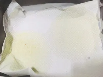 &amp;quot;고양이