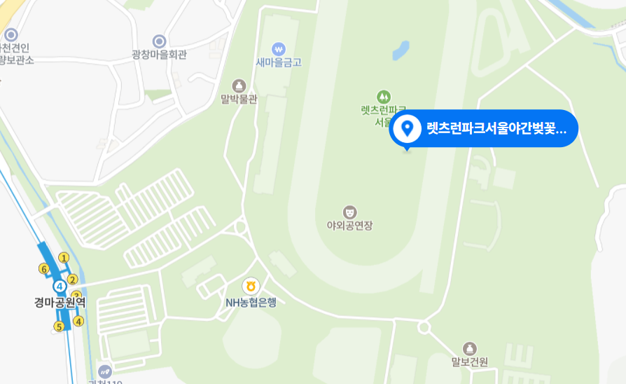 렛츠런파크 야경 벚꽃 축제