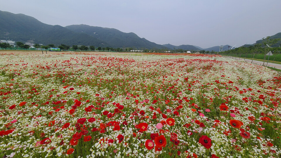 양산 가볼만한곳 - 황산공원