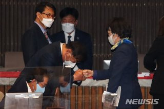 김진애 국회의원 정치 경력