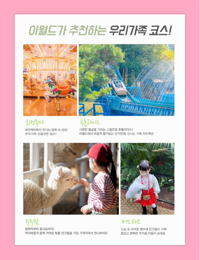 '이월드 블라썸 피크닉' 행사소개, 축제안내, 관련영상