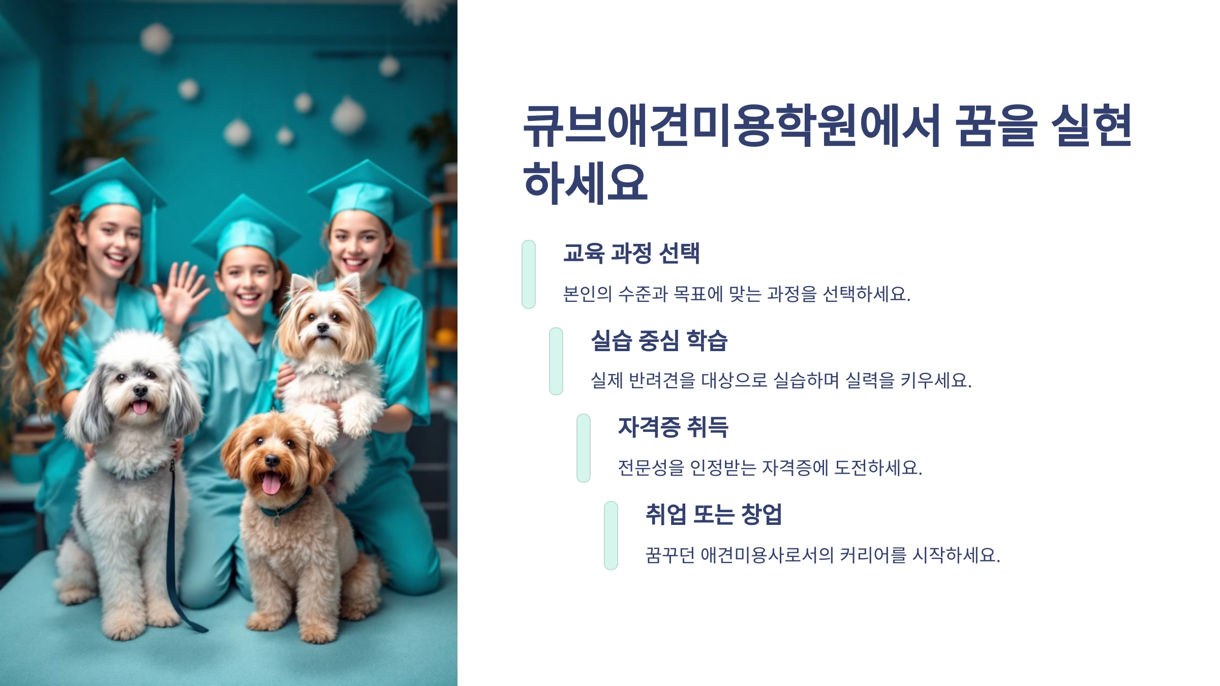 큐브애견미용학원 소개 및 과정 안내