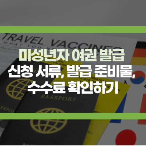미성년자 여권발급