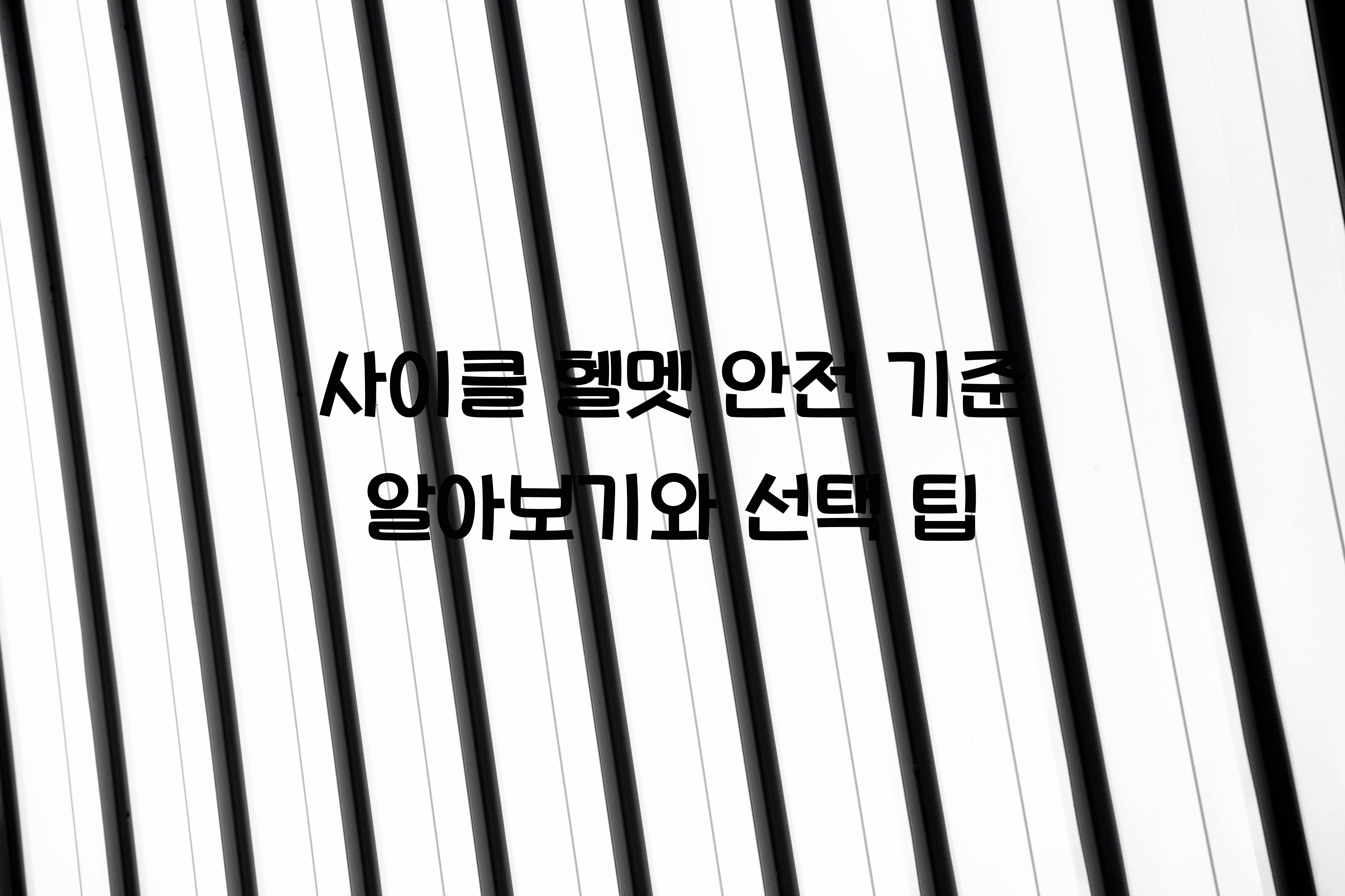 사이클 헬멧 안전 기준