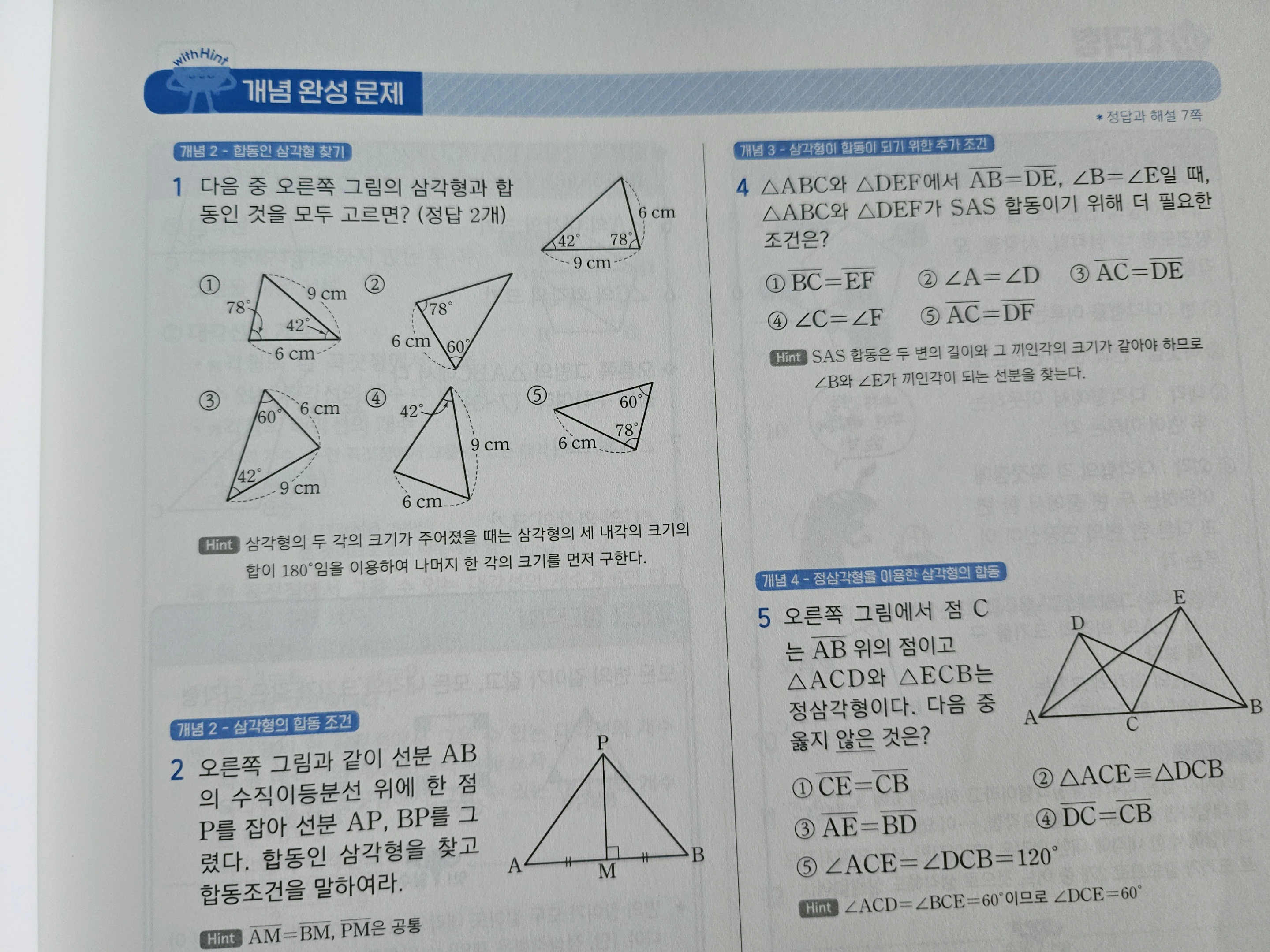 중학 도형 총정리 문제집