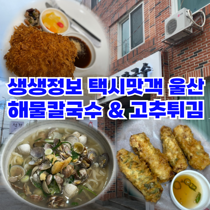 생생정보-택시맛객-울산-해물칼국수와-고추튀김,-그리고-직접-만든-돈까스-맛집은-어디일까?