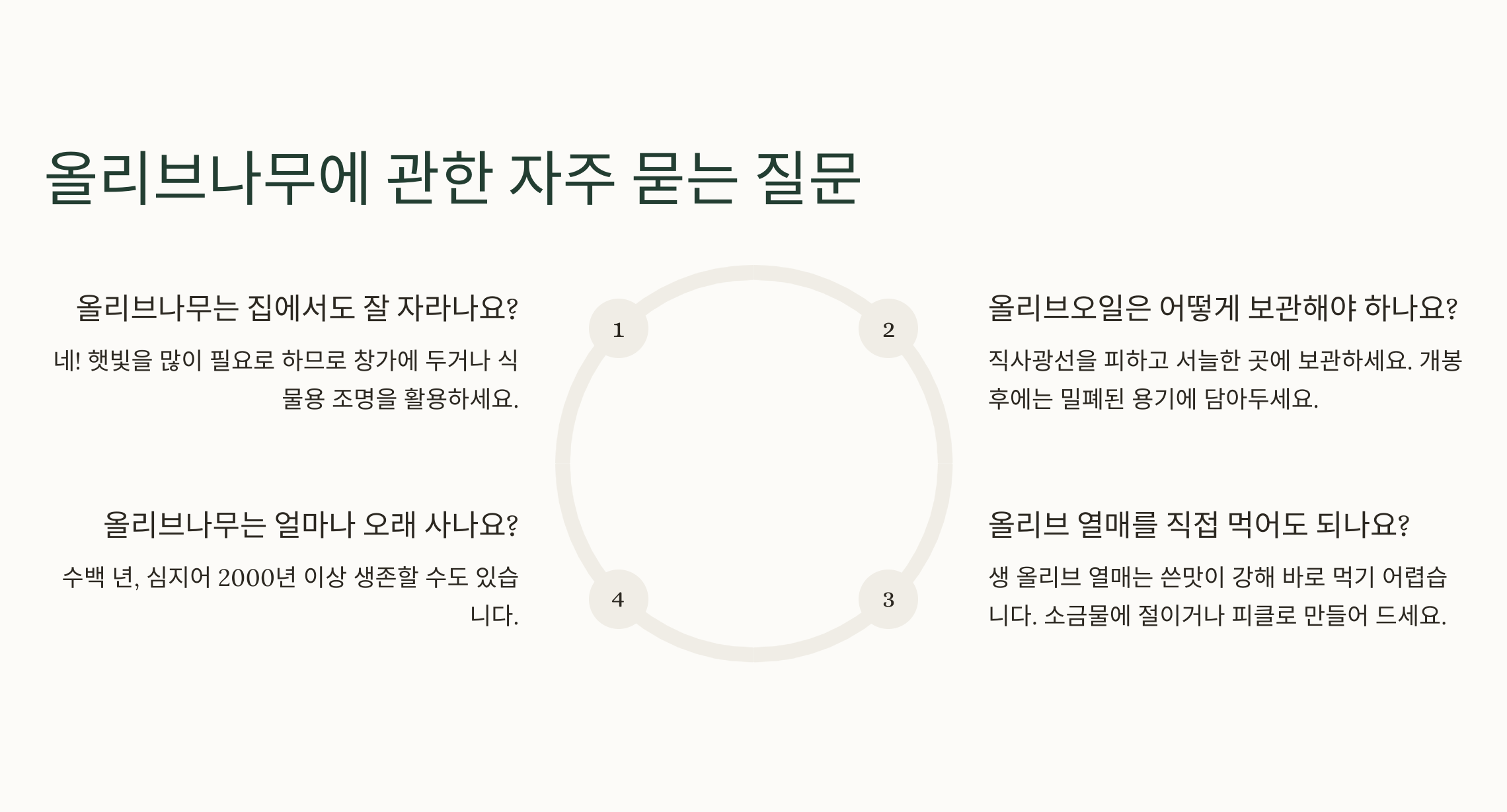 올리브나무 질문