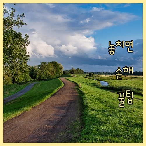 송정동 주민 필수! 일반/음식물/재활..