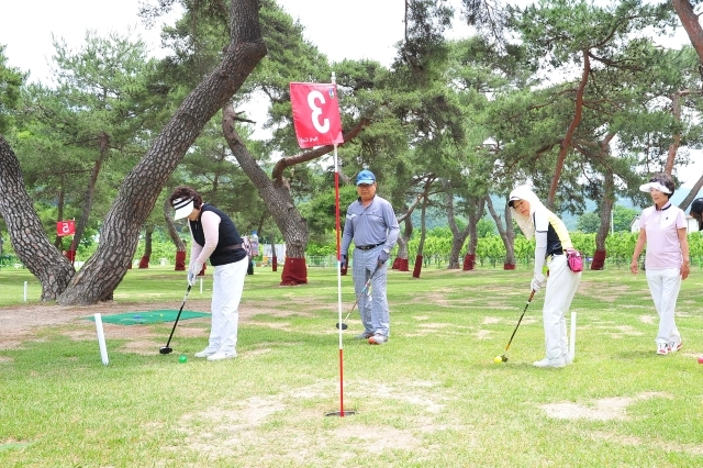 변화하는 골프 예약 문화부터 전국 파크골프장 운영 현황