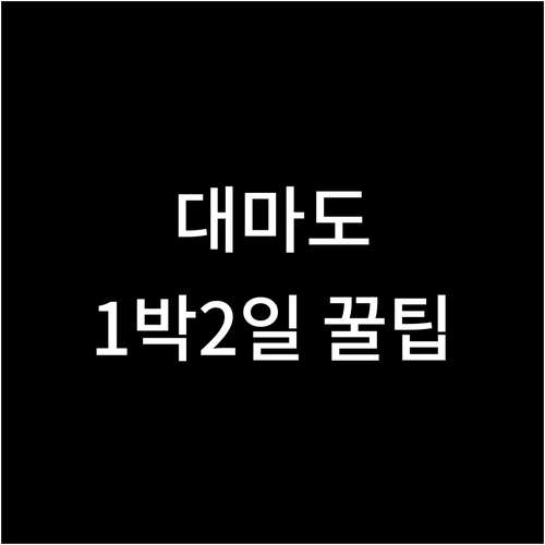 대마도 이즈하라 1박2일 여행 비용과..