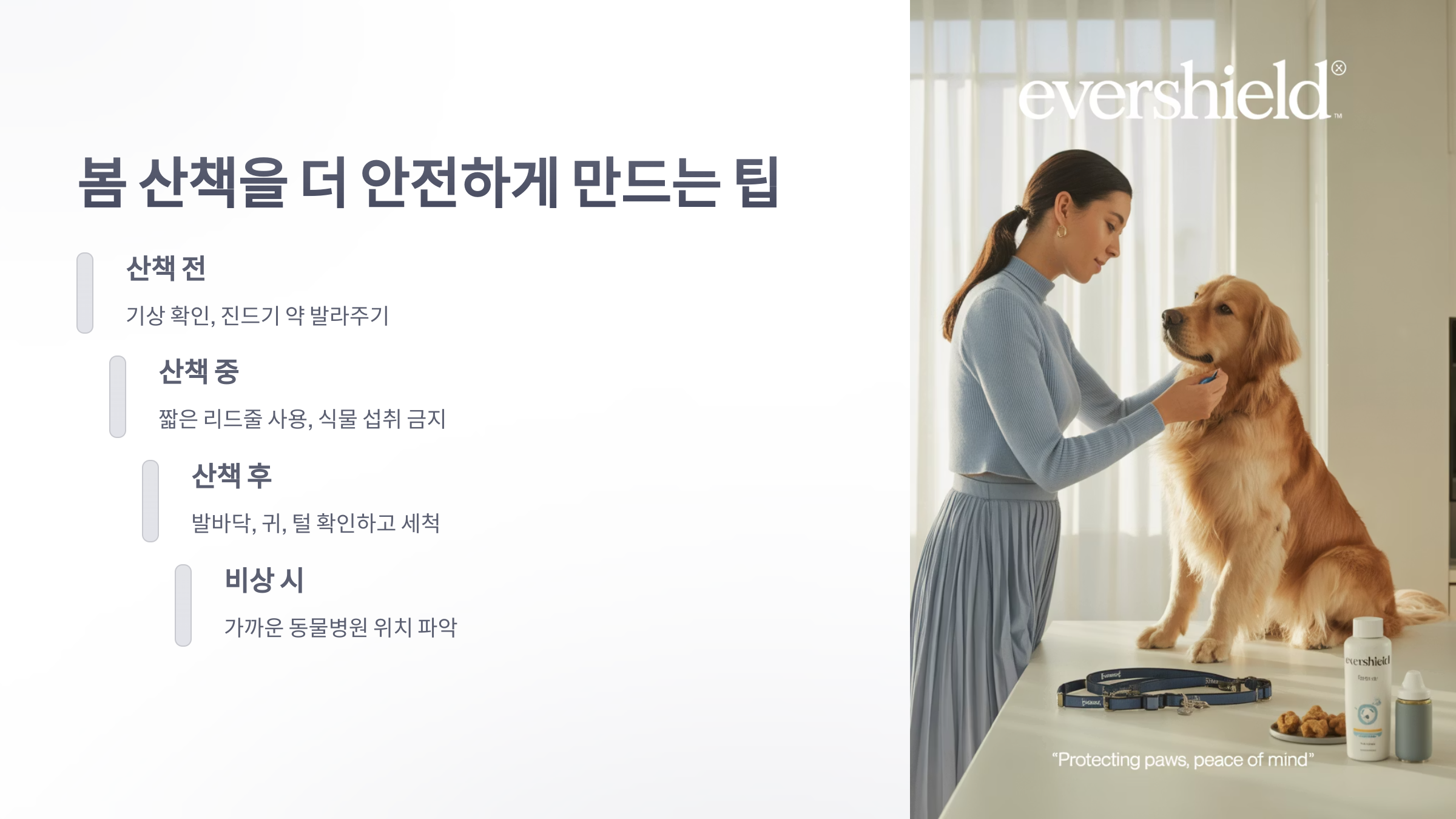 참조-반려견과-봄-산책시-주의사항-5