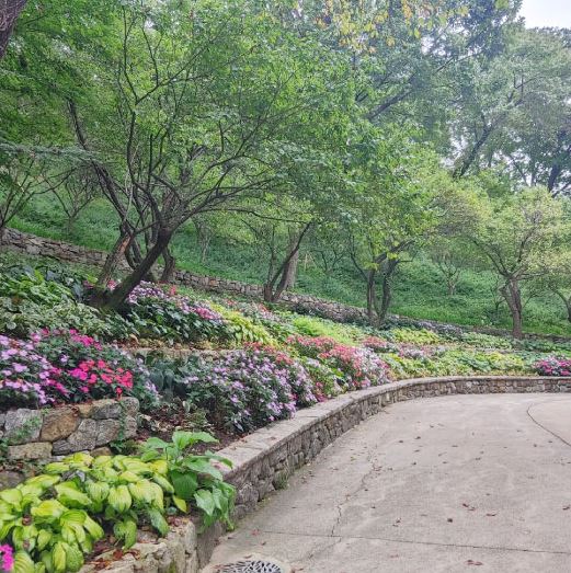 화담숲 예약