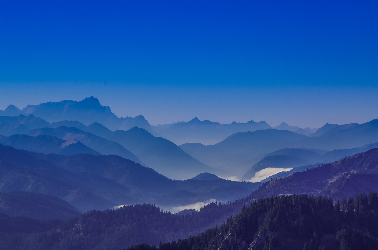 법인세율 계산방법