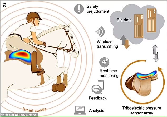  스마트 승마 안장 VIDEO: Researcher developed 'smart saddle' to help equestrians hit stride