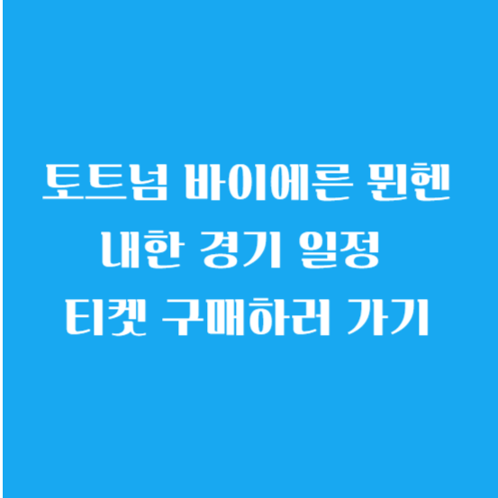 토트넘 vs 바이에른 뮌헨 내한 경기 일정 티켓 구매하러 가기