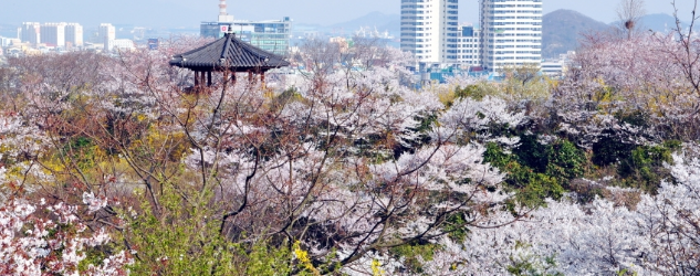 목포 유달산 봄축제2