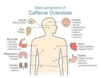 카페인 부작용 중독 증상 두통 원인 정리 정보_22