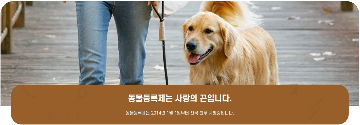 동물등록제도