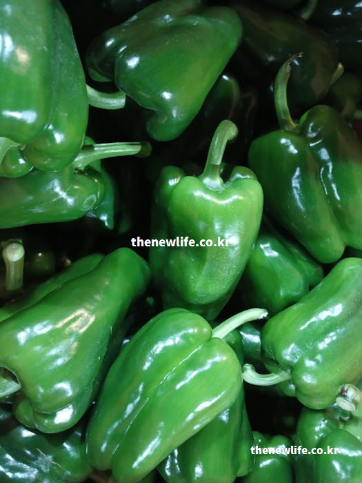 피망 효능이 가장 뛰어난 제철 시기와 이를 활용한 다양한 요리 방법을 보여주는 실사진