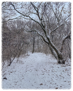 다불산
