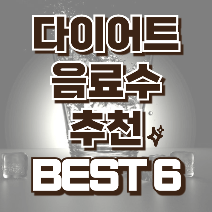 다이어트 음료수 추천