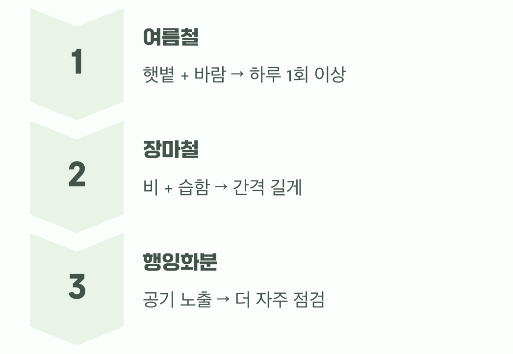 계절과 환경, 변수를 고려하세요