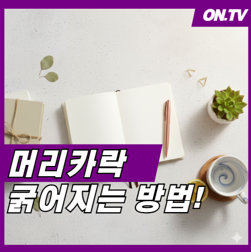 머리카락 굵어지는 방법 알아보기