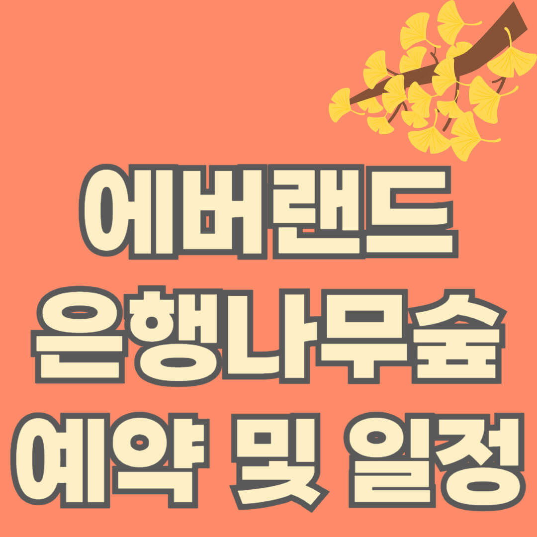 에버랜드 은행나무숲 예약,정보,일정