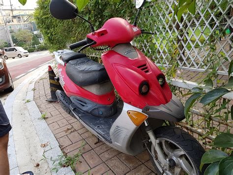 50cc스쿠터 보험