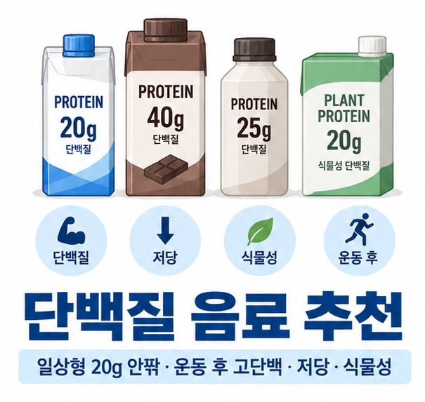 단백질 음료 추천과 20g 일상형 40g 고단백형 저당 식물성 제품을 비교하는 교육용 이미지