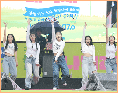 함평 나비축제