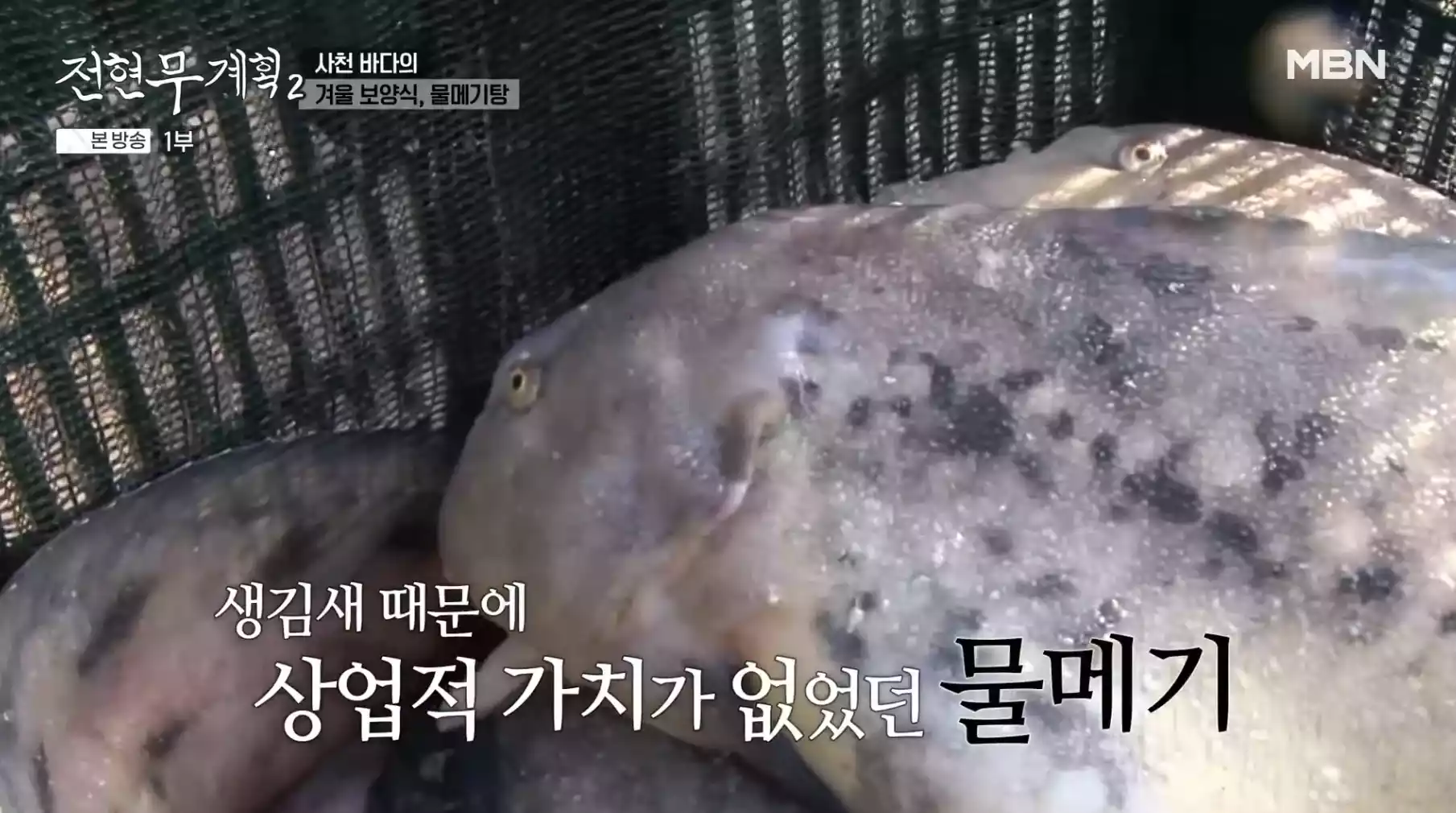 물메기