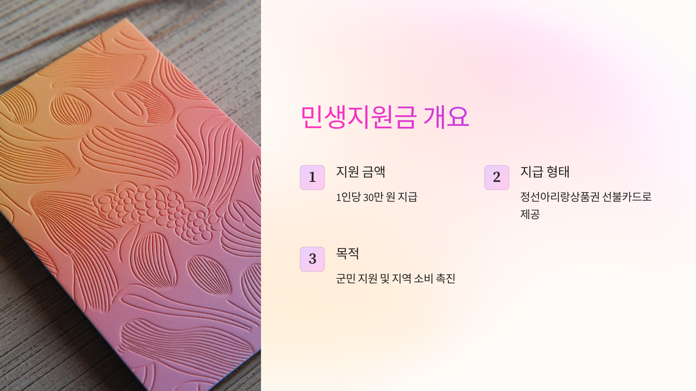 민생지원금 개요