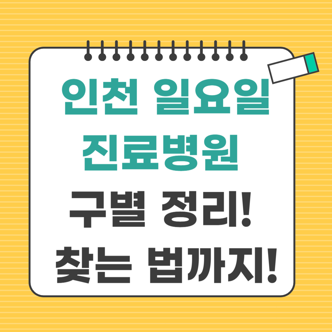 인천 일요일 진료병원 구별 정리