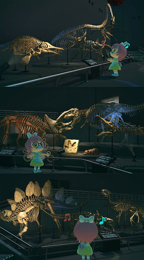 동물의 숲 화석 전시실 공룡 화석 구경중