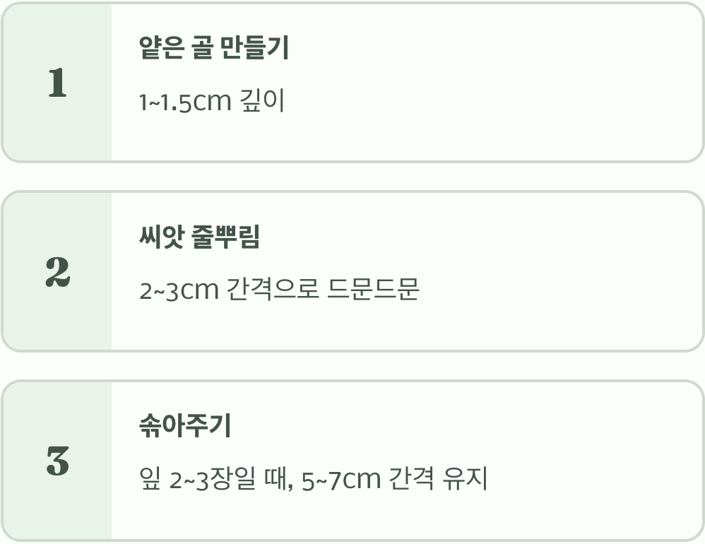 초보자도 OK! 파종과 솎아주기