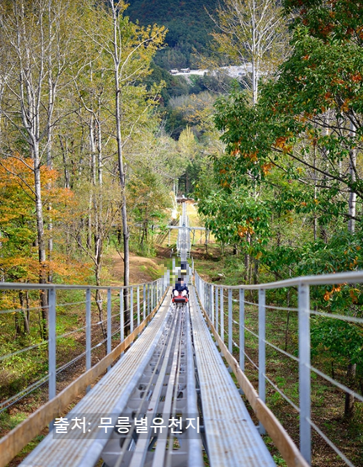 강원도 동해 가볼만한 곳 무릉별유천지 완전정복! 루지부터 짚라인까지 액티비티 총정리