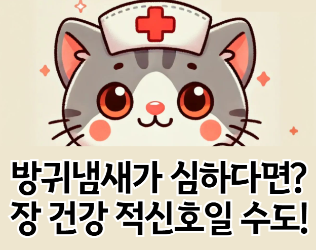 방귀냄새 지독할 때 원인과 해결책: 당신의 장 건강을 위한 완벽 가이드
