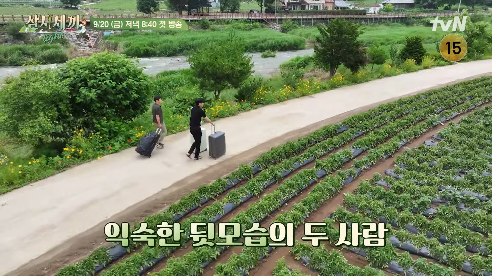 삼시세끼라이트