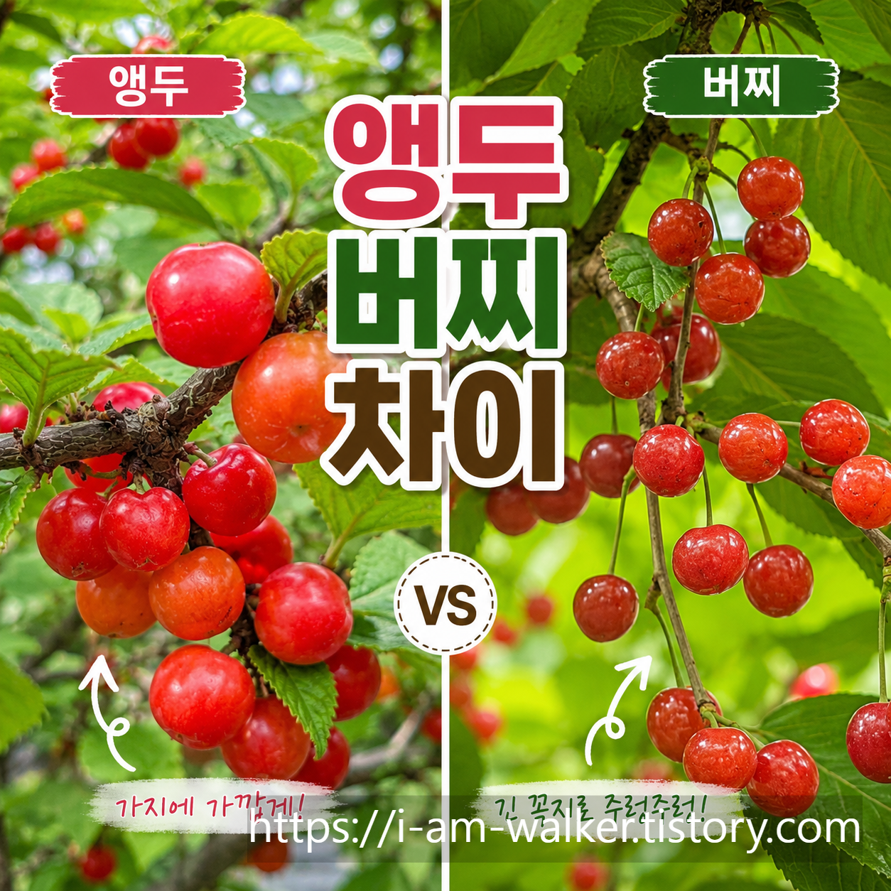 사진으로 식물이름 찾기