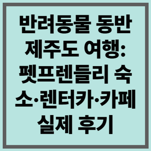 반려동물 동반 제주도 여행: 펫프렌들리 숙소·렌터카·카페 실제 후기