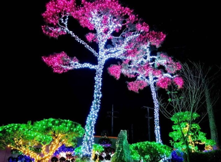 태안 가볼만한곳 베스트 10