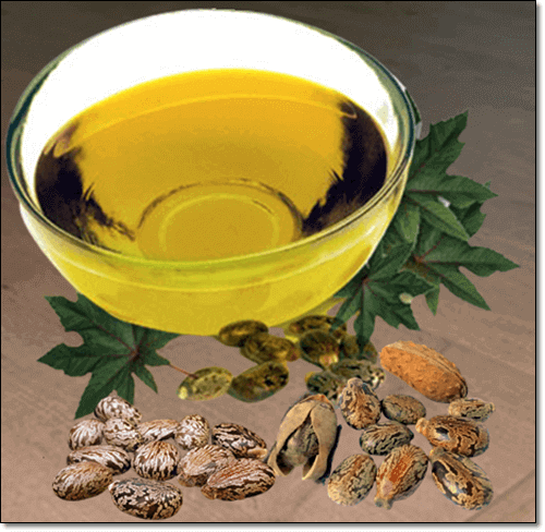 아킬레스 마사지 오일로 좋은 피마자유