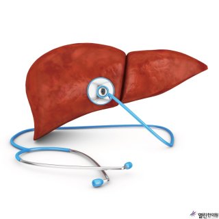 간수치의 정상범위