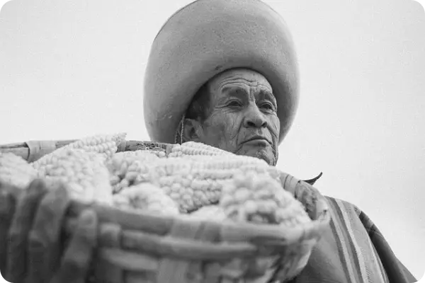 노인일자리여기 홈페이지