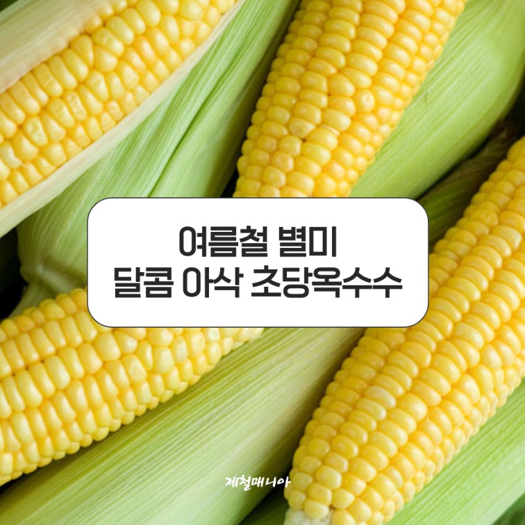 초당옥수수 디저트