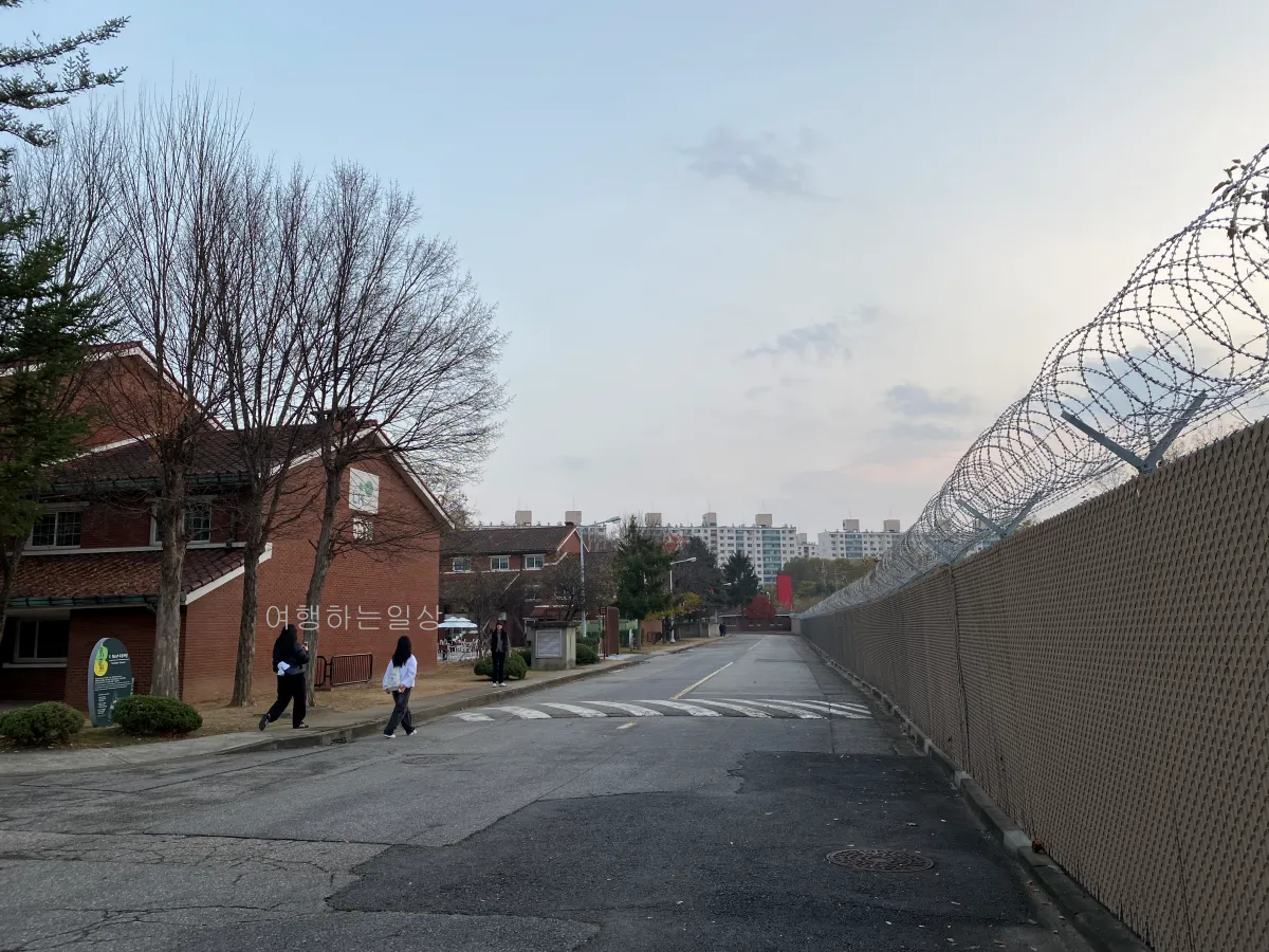 서울-크리스마스-데이트-장소-추천-용산공원-미군기지-포토존-평일방문후기