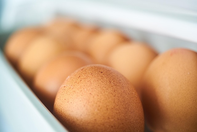 여름 대비 냉장고 정리 꿀템 추천 &ndash; 전기세도 아끼는 수납 비법 7가지