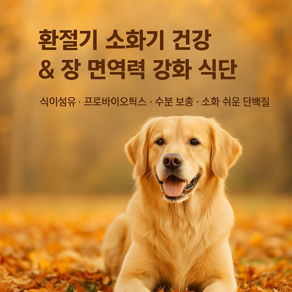 환절기 소화기 건강 &amp; 장 면역력 강화 식단 이미지